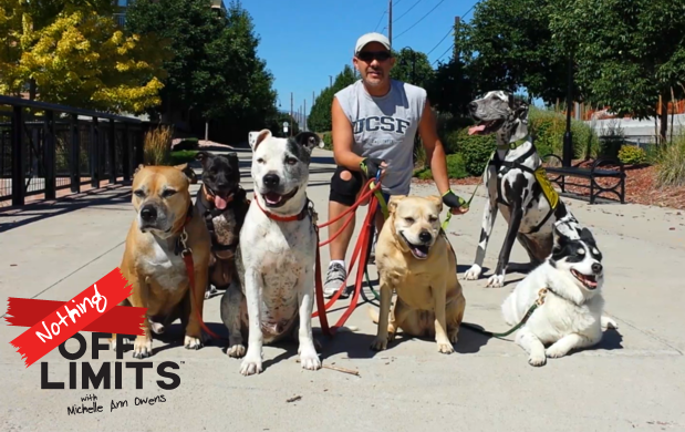 David Edelstein of TeamPitAFull Dispels Myths About Pit Bulls and Shares Dog Training Tips